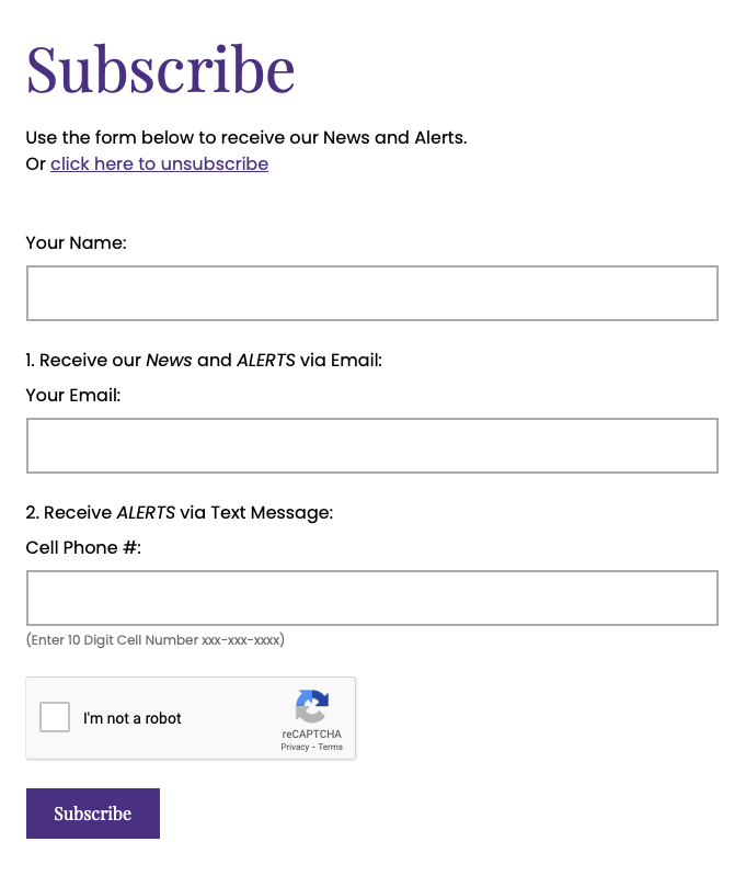 Screenshot of an email update subscription form
